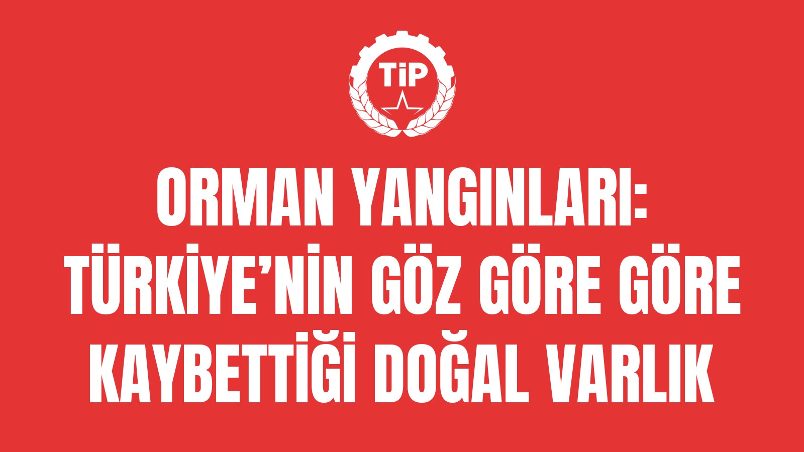Orman Yangınları: Türkiye'nin Göz Göre Göre Kaybettiği Doğal Varlık