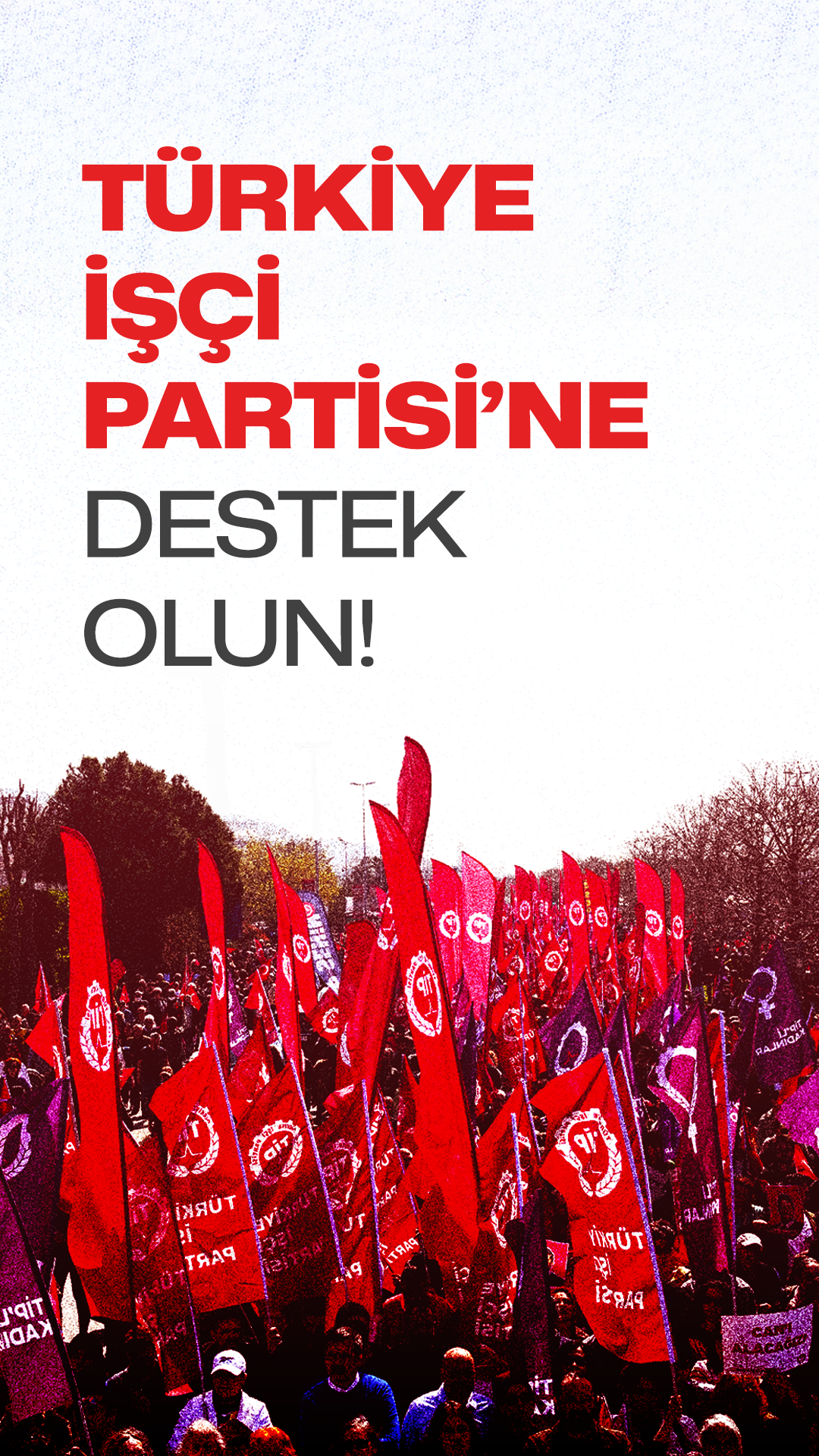 TİP Bağış Görseli