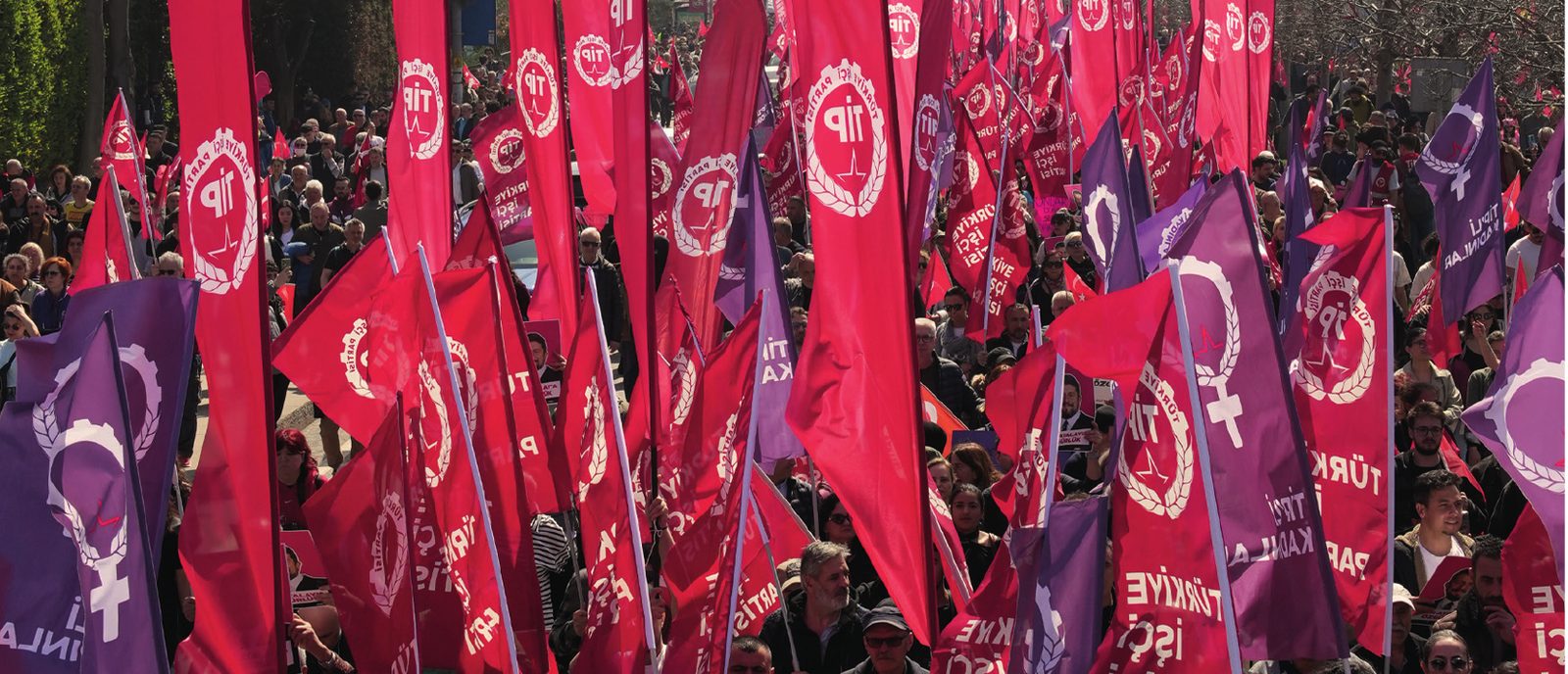 Türkiye İşçi Partisi mitinginde kırmızı ve mor bayraklarla kalabalık