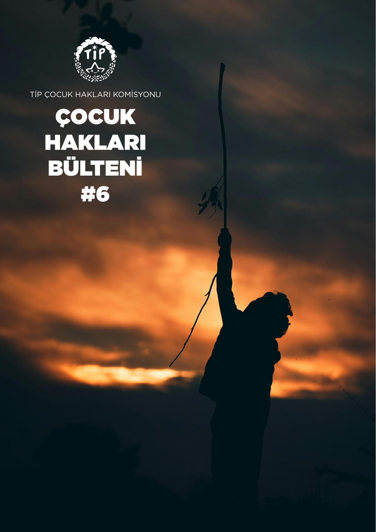 Sayı 6 kapak (1. sayfa)