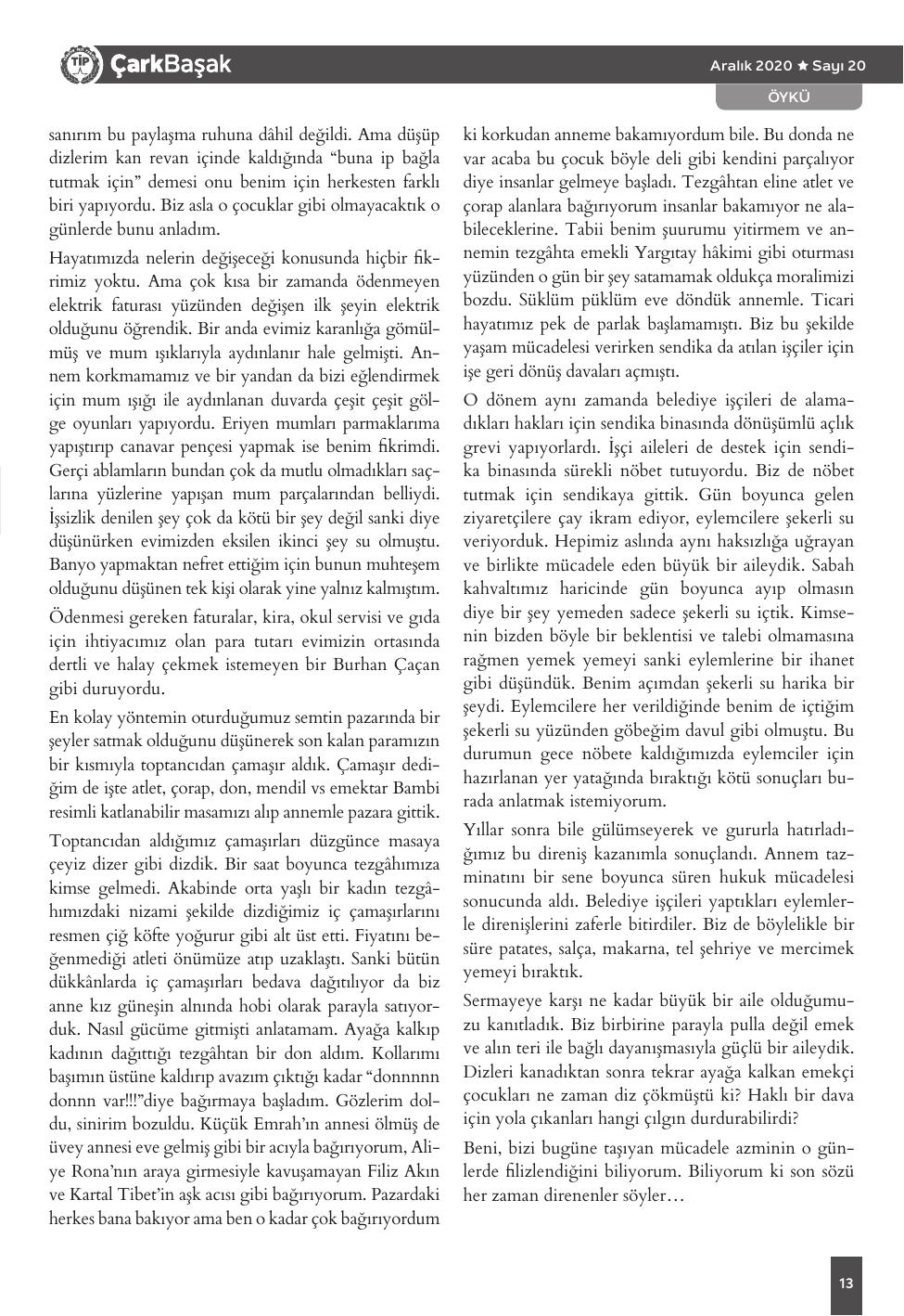 Sayı 20 - Sayfa 13