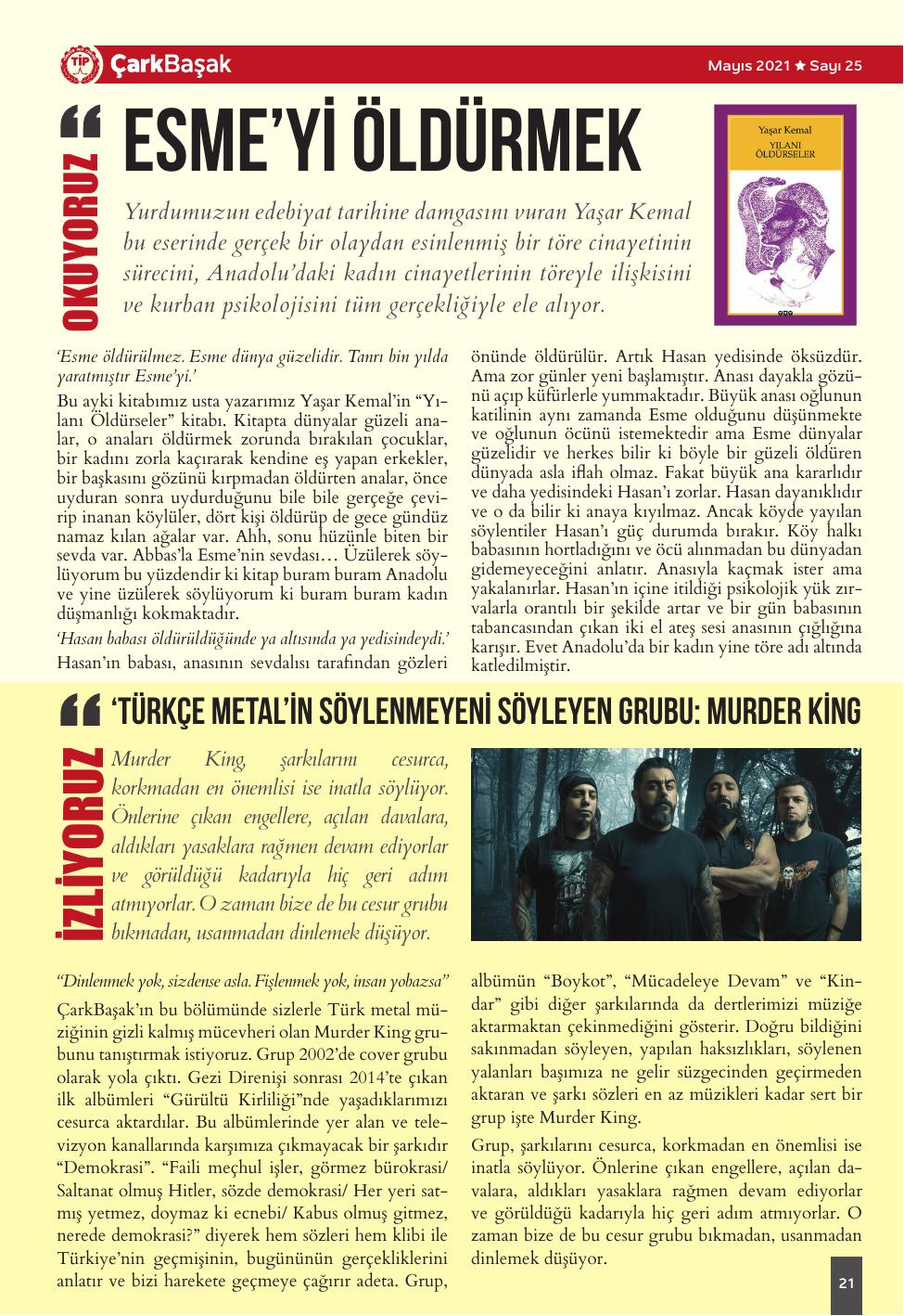 Sayı 25 - Sayfa 21