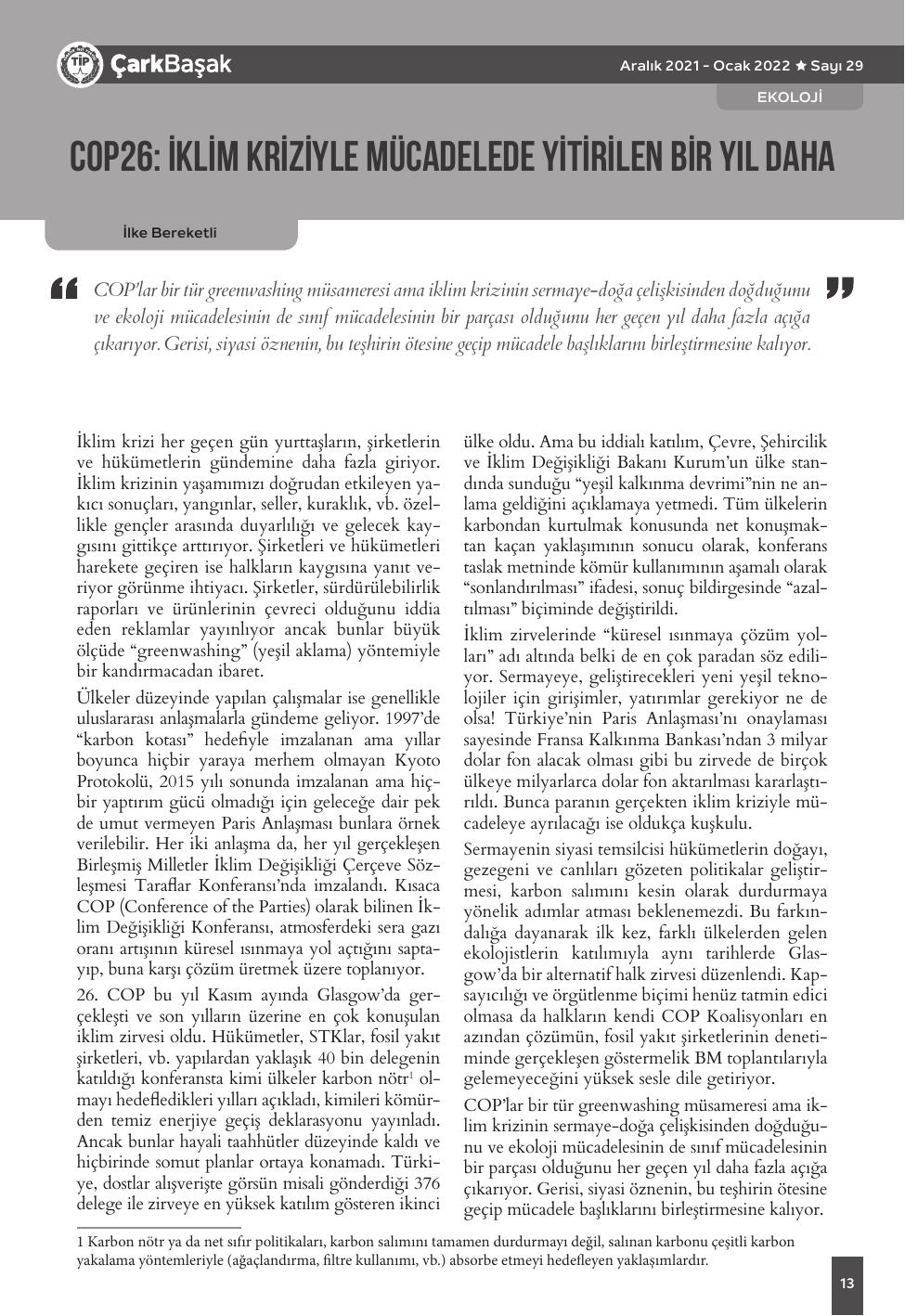 Sayı 29 - Sayfa 13