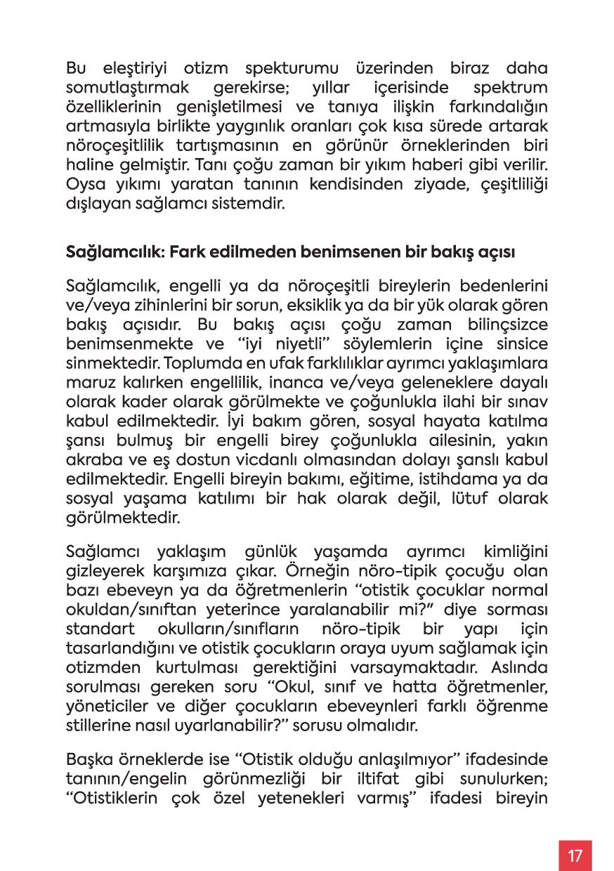Sayfa 17