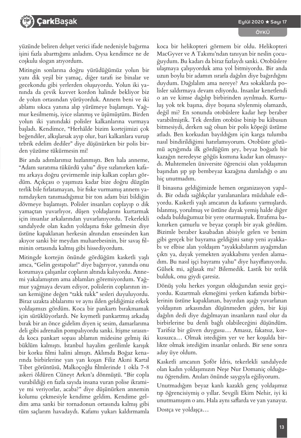 Sayı 17 - Sayfa 13