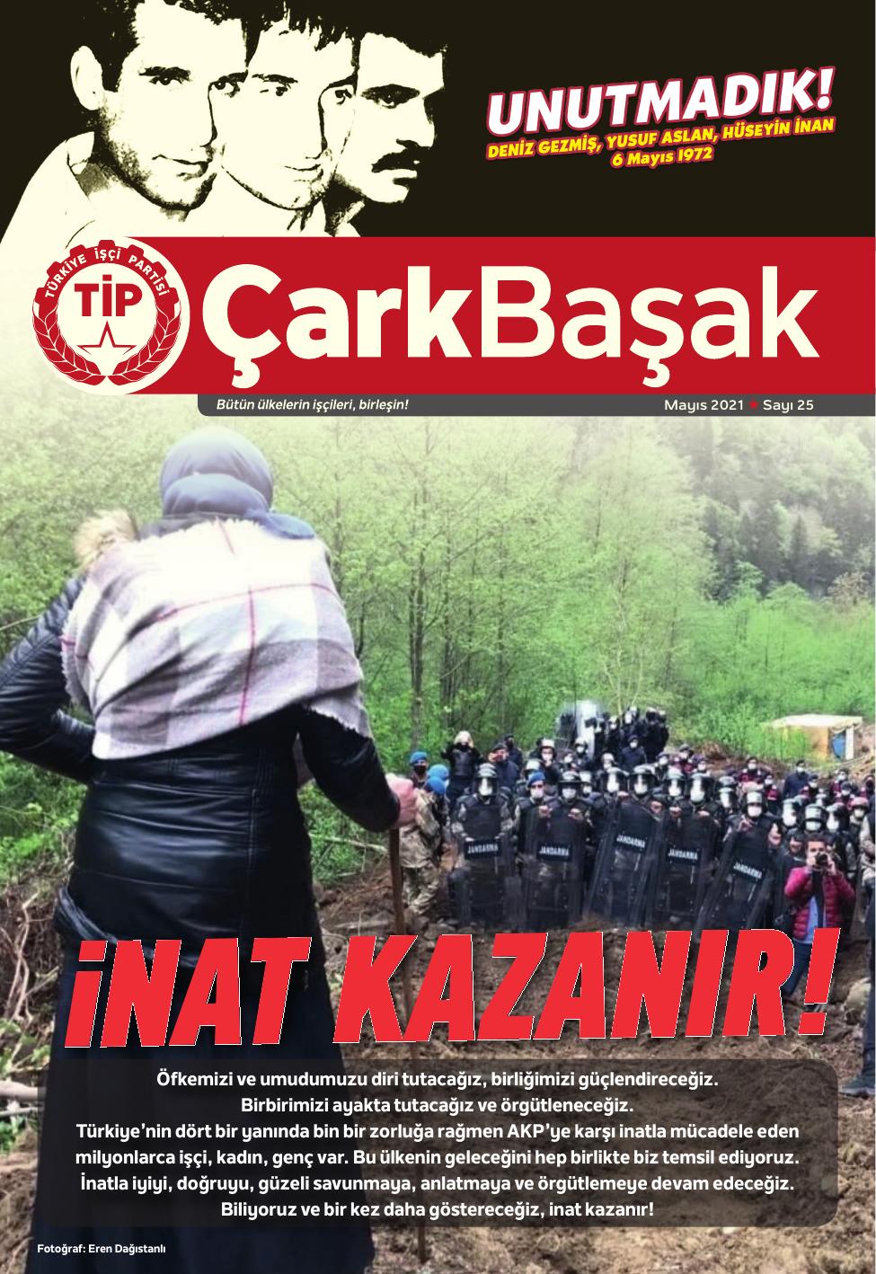 Sayı 25 kapak (1. sayfa)